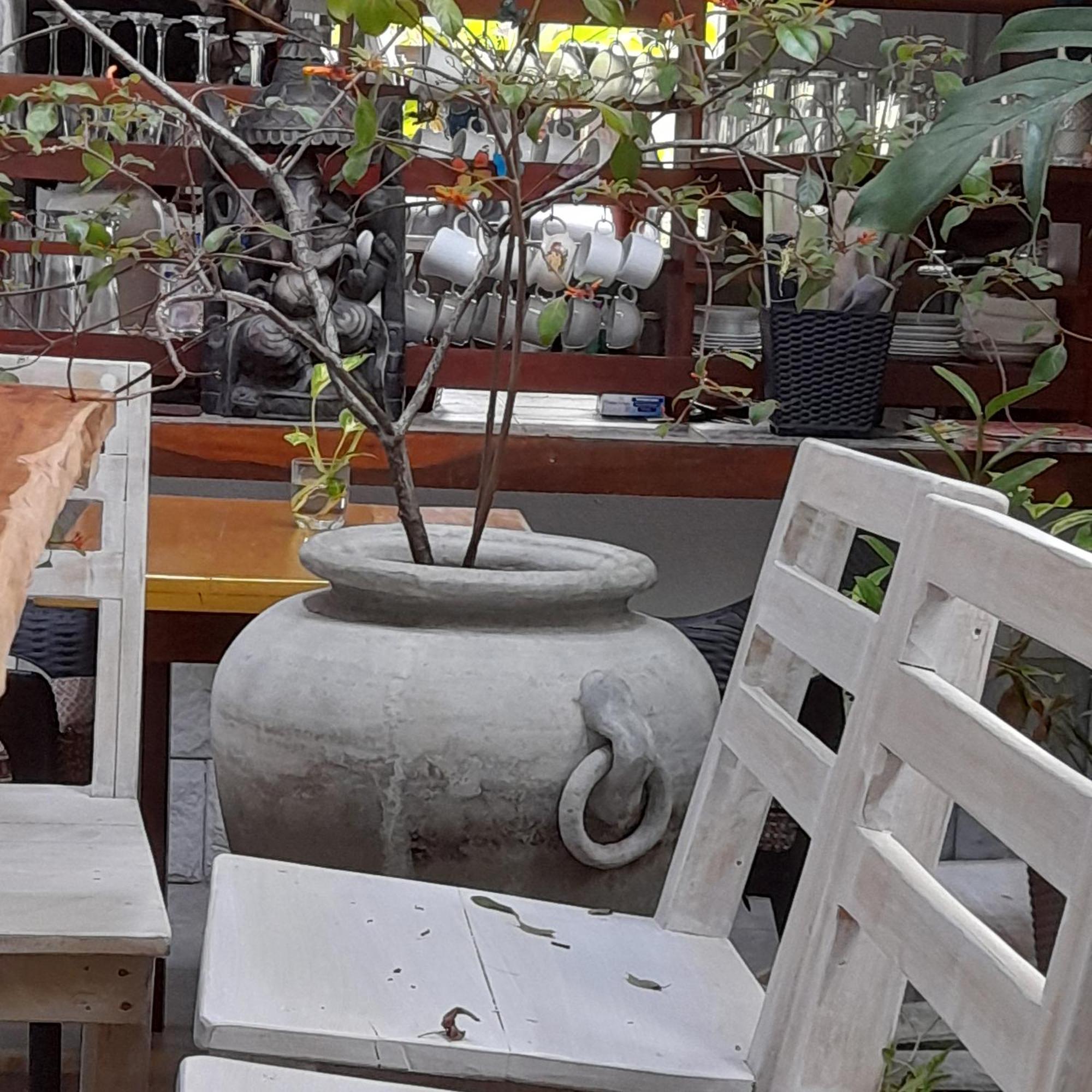 Shoba Traveller'S Tree Homes Stay كالي المظهر الخارجي الصورة