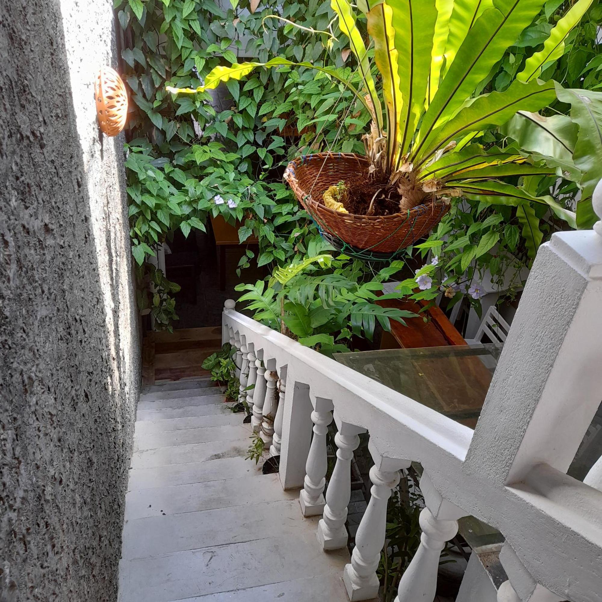 Shoba Traveller'S Tree Homes Stay كالي المظهر الخارجي الصورة