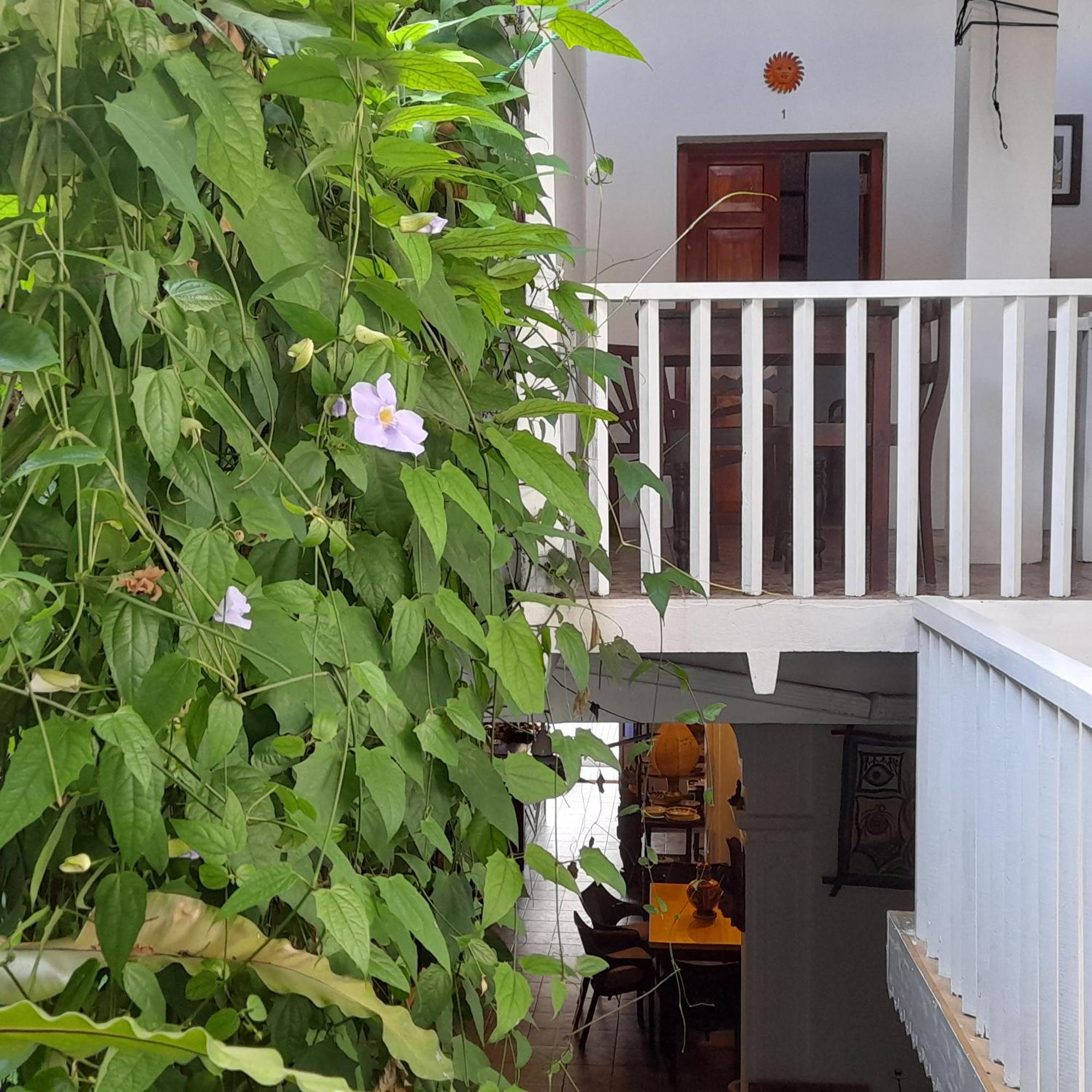 Shoba Traveller'S Tree Homes Stay كالي المظهر الخارجي الصورة