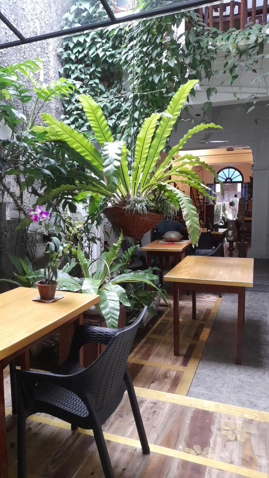Shoba Traveller'S Tree Homes Stay كالي المظهر الخارجي الصورة