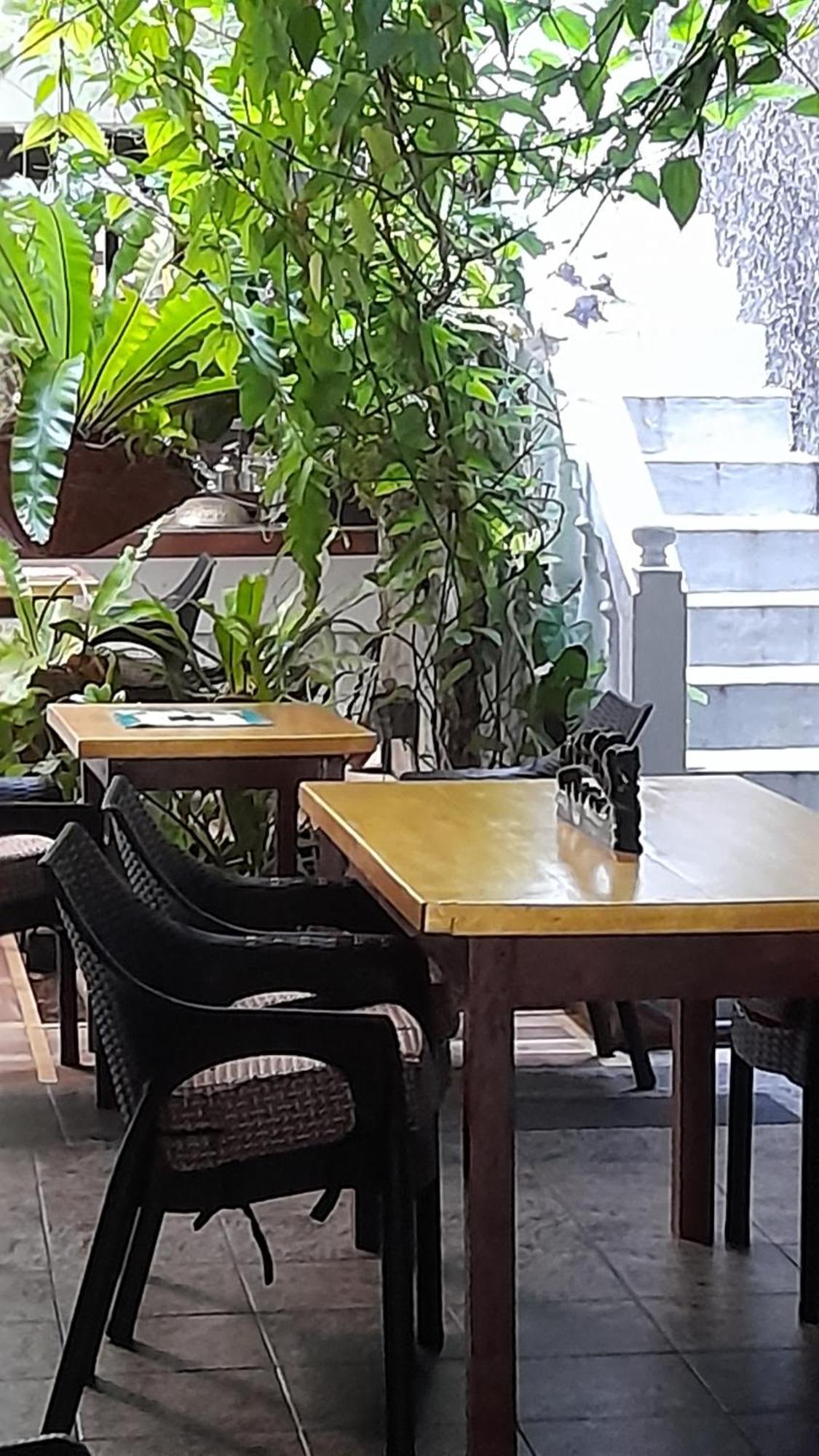 Shoba Traveller'S Tree Homes Stay كالي المظهر الخارجي الصورة